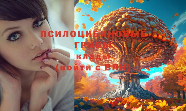 прущая мука Белоозёрский