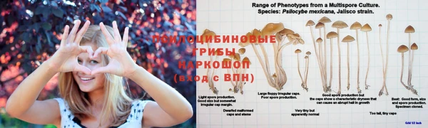 героин Богородск